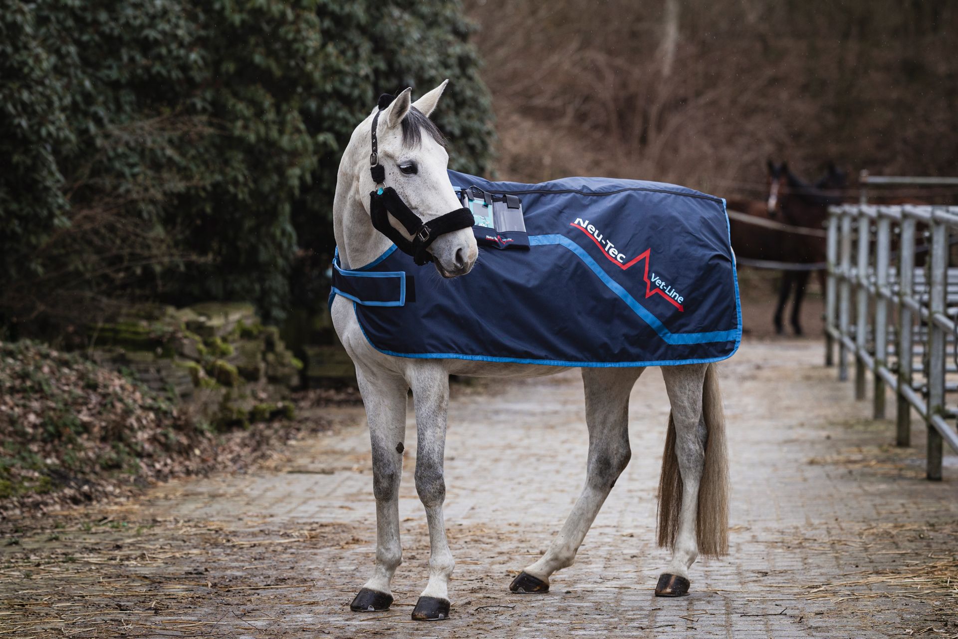 Neu-Tec Vet Line "Equi" Magnetfrequenztherapiedecke